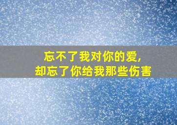 忘不了我对你的爱, 却忘了你给我那些伤害